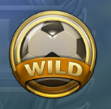online slot wild symbol
