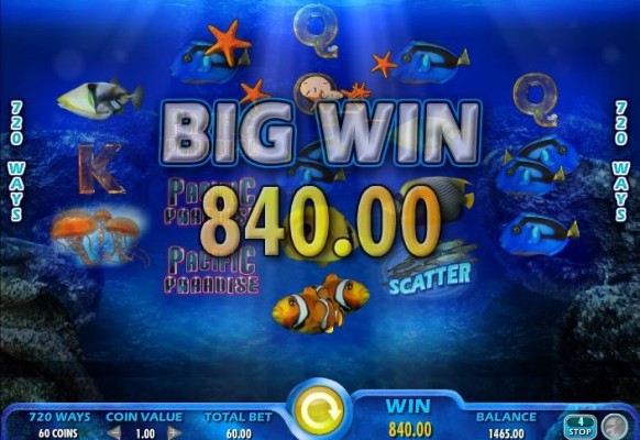 Pacific Paradise Slot by IGT – Big Win