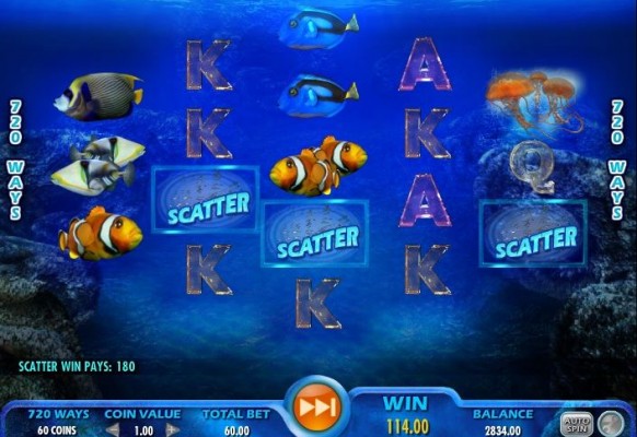 Pacific Paradise Slot by IGT – Scatter