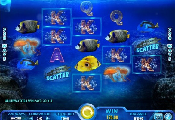 Pacific Paradise Slot by IGT – Winning Combination